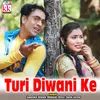 About Turi Diwani Ke Song